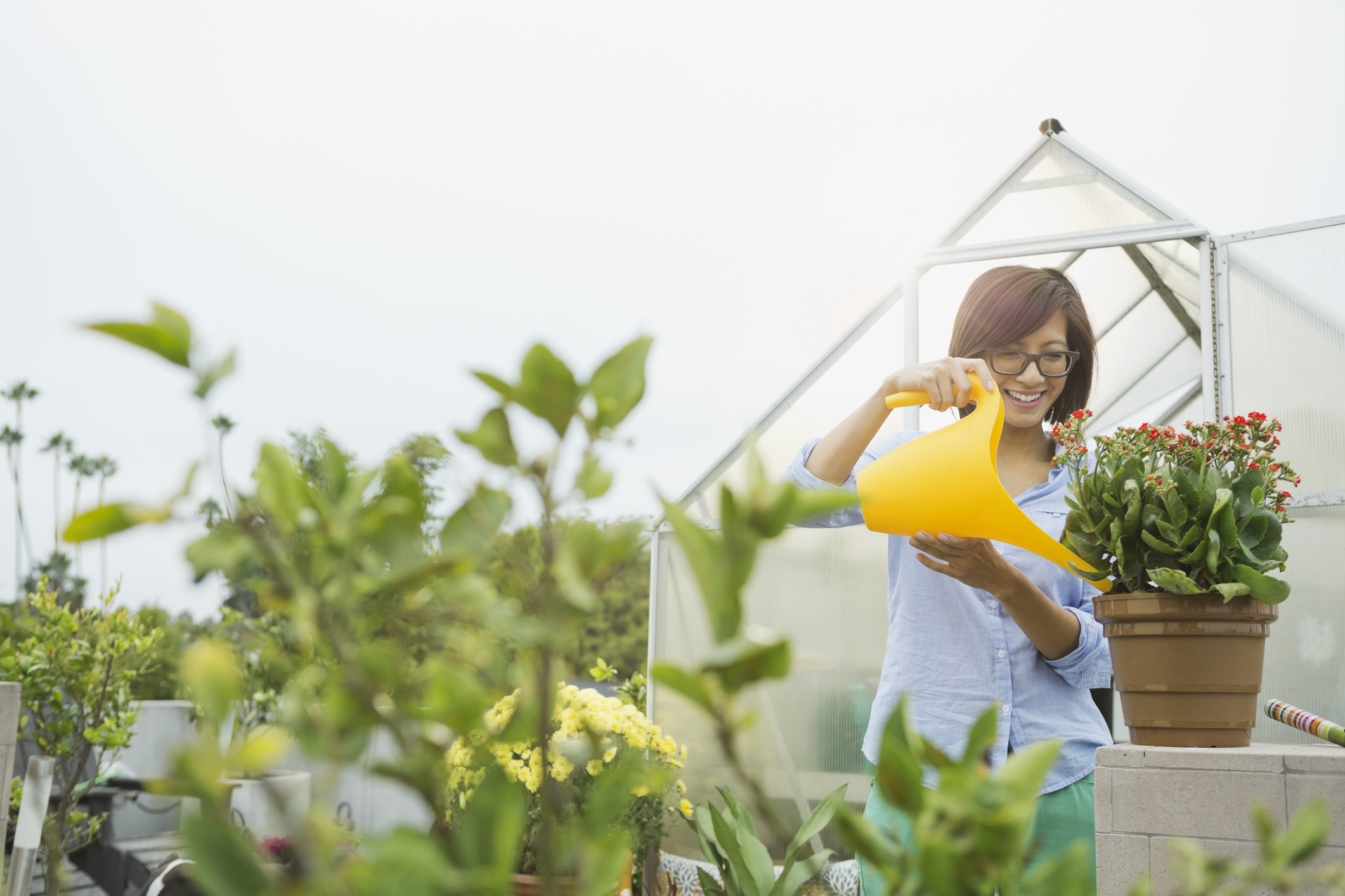 Woman gardening at home